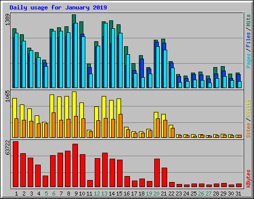Daily usage for January 2019