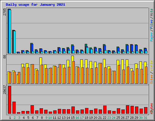 Daily usage for January 2021