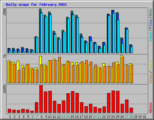 Daily usage for February 2021