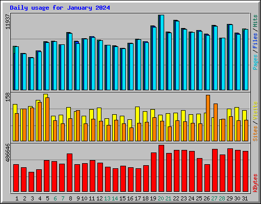 Daily usage for January 2024