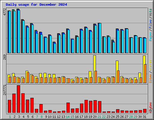 Daily usage for December 2024