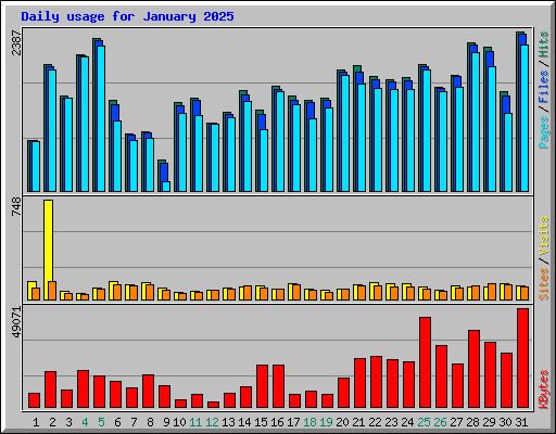 Daily usage for January 2025