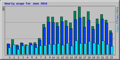 Hourly usage for June 2016