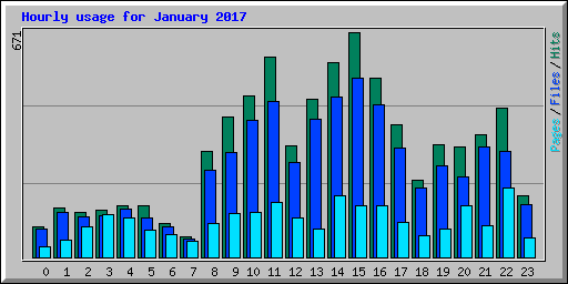 Hourly usage for January 2017