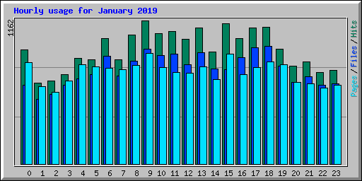 Hourly usage for January 2019