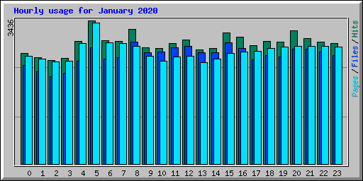 Hourly usage for January 2020