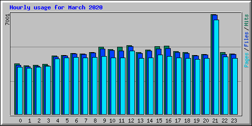 Hourly usage for March 2020