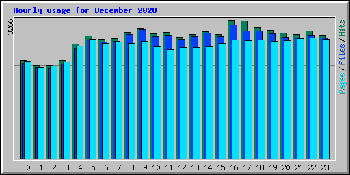 Hourly usage for December 2020