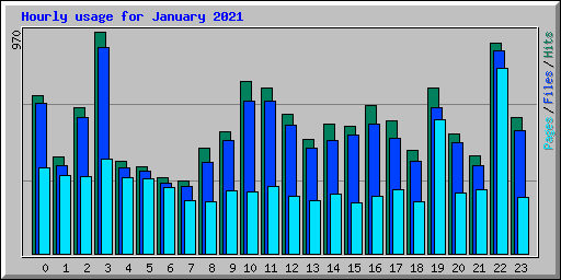 Hourly usage for January 2021