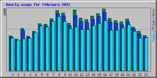 Hourly usage for February 2021
