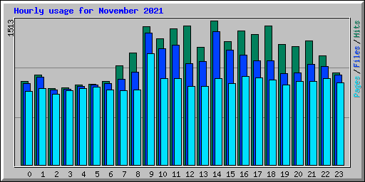 Hourly usage for November 2021