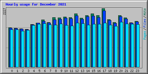 Hourly usage for December 2021