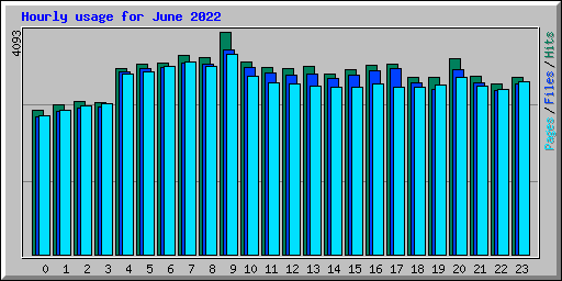 Hourly usage for June 2022