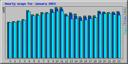 Hourly usage for January 2023