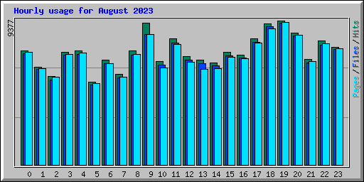 Hourly usage for August 2023
