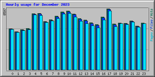 Hourly usage for December 2023