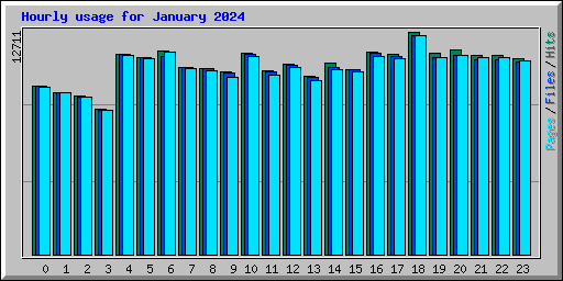 Hourly usage for January 2024