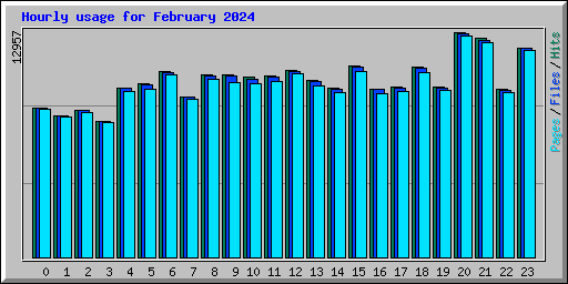 Hourly usage for February 2024