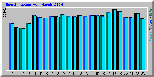 Hourly usage for March 2024