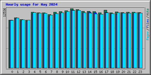 Hourly usage for May 2024