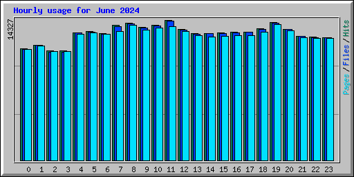 Hourly usage for June 2024