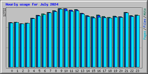 Hourly usage for July 2024