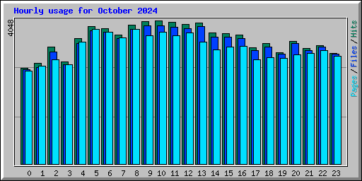 Hourly usage for October 2024