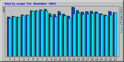 Hourly usage for November 2024