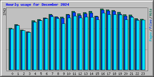 Hourly usage for December 2024