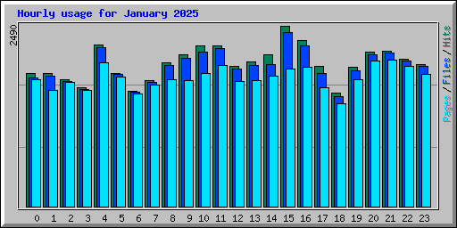 Hourly usage for January 2025