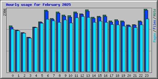 Hourly usage for February 2025