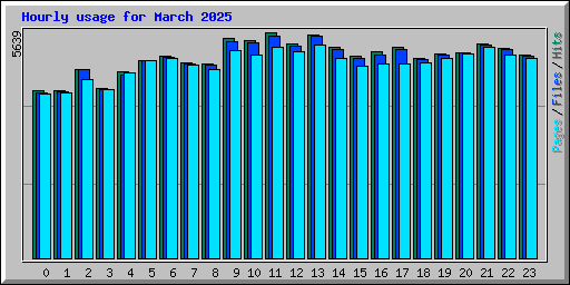 Hourly usage for March 2025